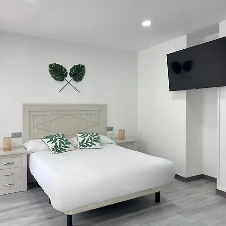 Apartment Rosal Oviedo