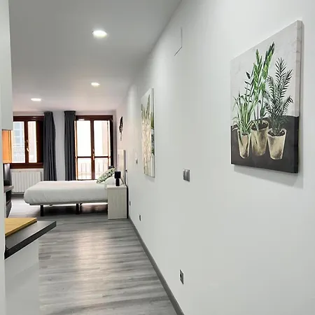 Apartment Rosal Oviedo